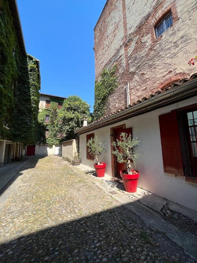 Petite Chartreuse Calme En Plein Coeur De Toulouse Daire Dış mekan fotoğraf
